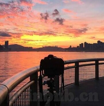 69麻豆视频-69题材视频现象的社会文化分析，多维度审视与反思